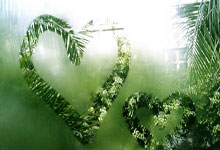 雷火电竞入口-NBA｜国米双星闪耀，命运十字路口的双重奏！