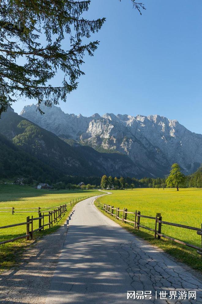 雷火电竞合作-关于斯洛文尼亚选手精神饱满，追求胜利！的信息