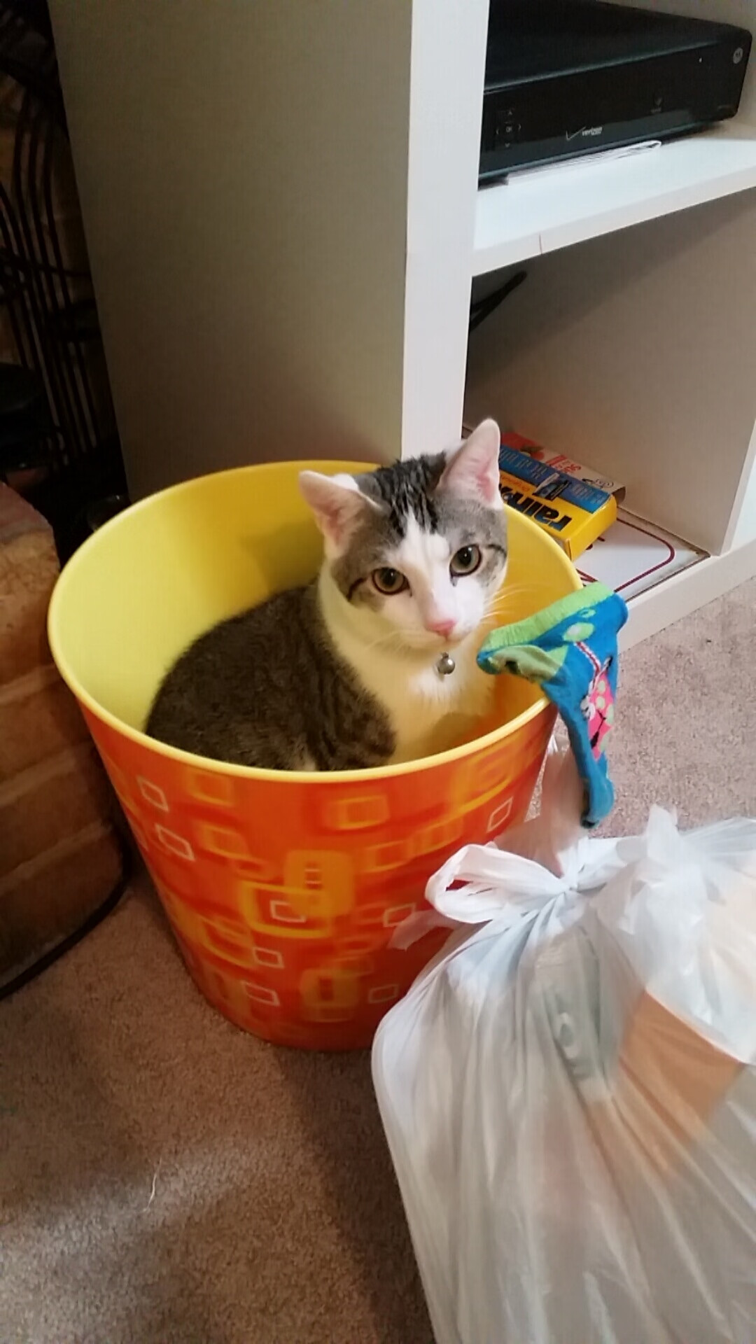 关键战基因，当新疆铁壁遇见恩比德时间