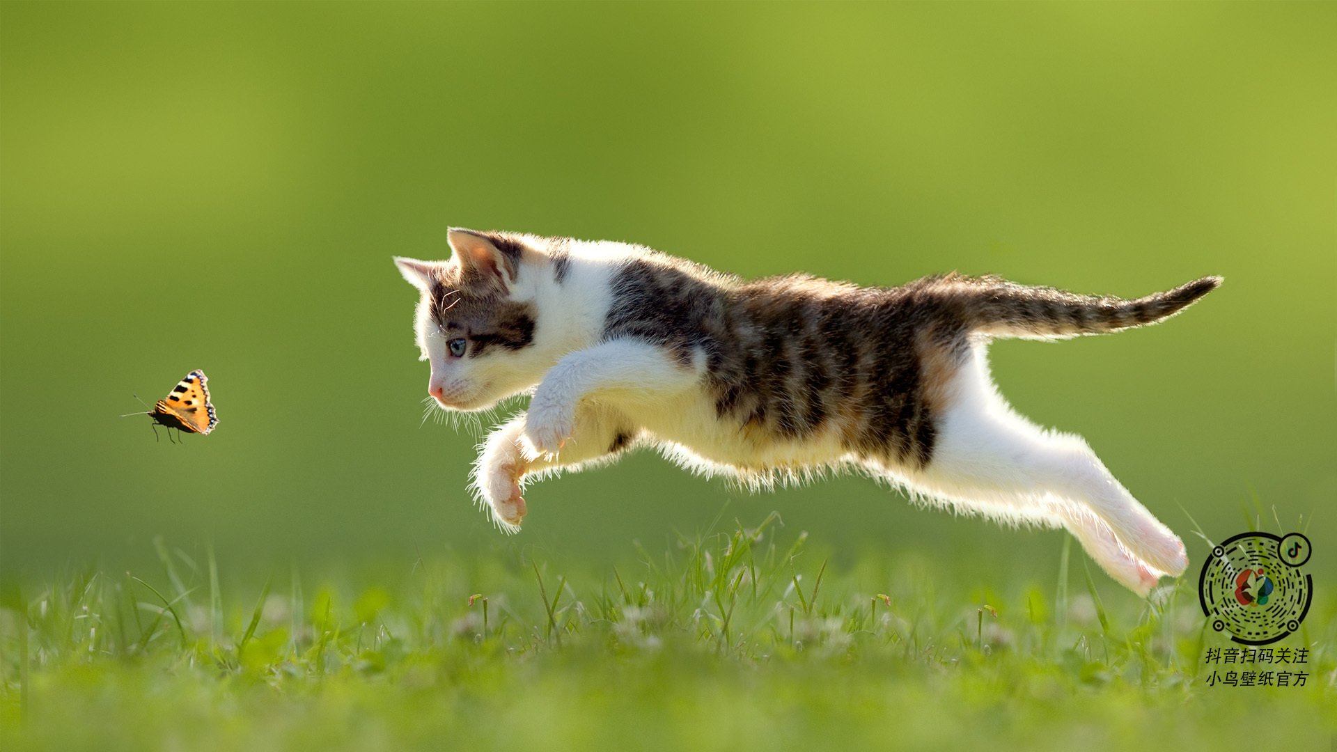 雷火电竞下载-绿茵场上的静默诗篇，论福登如何以防守的笔触勾勒胜利的图腾