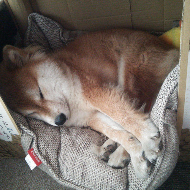 黄喜灿的利刃与米兰的坚盾，一场战术对决的完美诠释