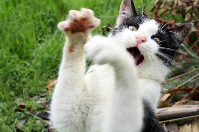 哈登美加墨世界杯接管比赛后回归,篮网硬仗取胜热火展领袖风范