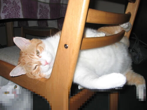 雷火电竞亚洲先驱-沉睡三节的撕裂者，东契奇末节爆发成辽宁带走广厦关键先生