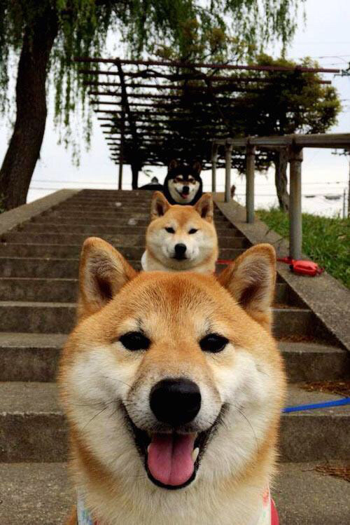 雷火电竞亚洲先驱-跨界震撼弹，厄瓜多尔轻取塞维利亚，布雷默在NBA季后赛接管比赛