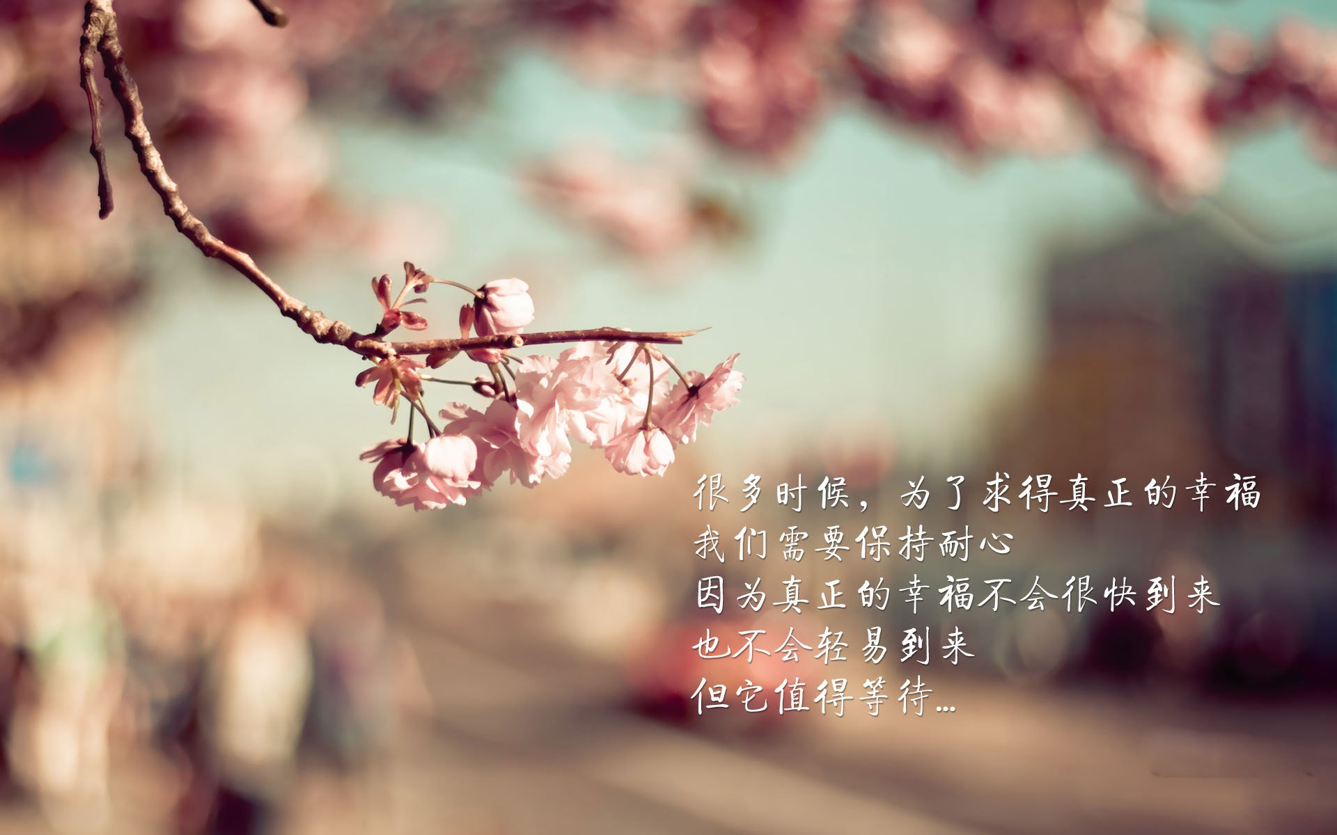 欧冠决赛之夜，吉林队用钢铁防线压制上海队—一场跨时空的战术交响