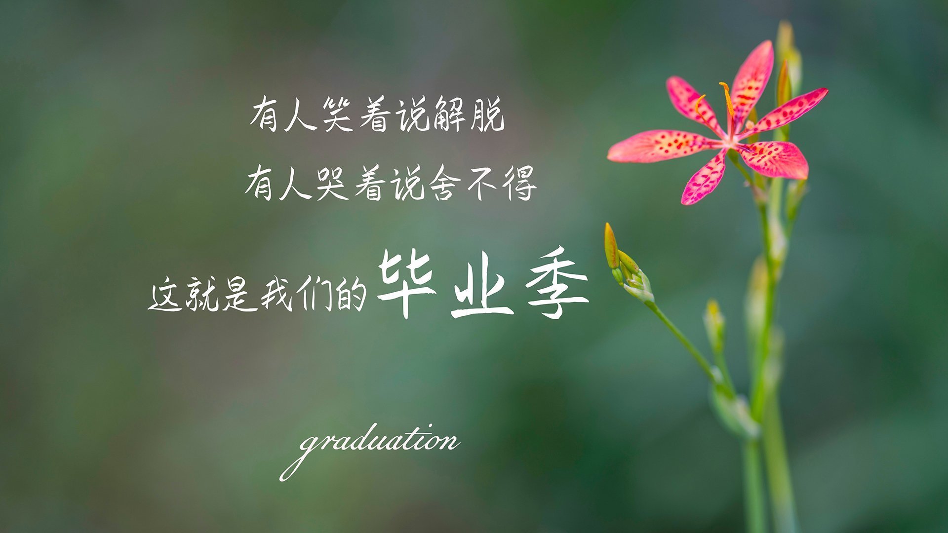 雷火电竞网站-2026世界杯C组，哥伦比亚风暴横扫奥地利，C罗致命一击点燃火热王朝